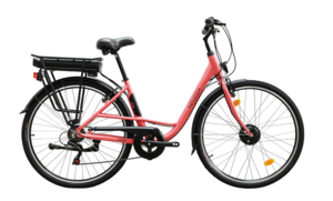 Neuzer E-Trekking Zagon MXUS női 0